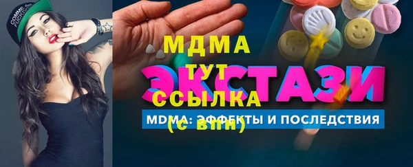 индика Кинешма