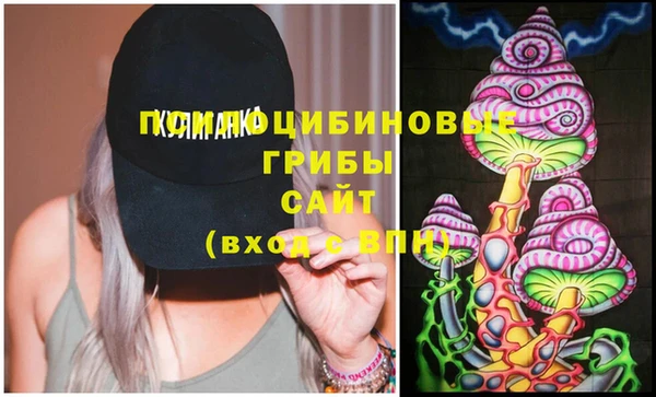экстази Карпинск
