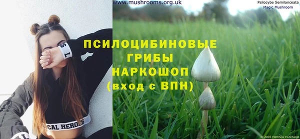 экстази Карпинск