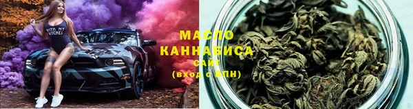 индика Кинешма